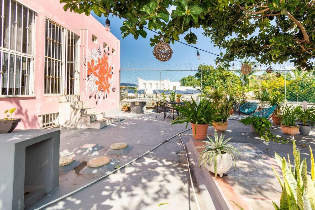 Carlota Guest House Cozumel Eksteriør bilde